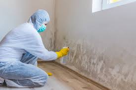 Best Environmental Consulting for Mold Prevention  in Lakeview, OH